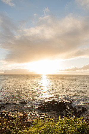 Maui Christmas 2017-1375