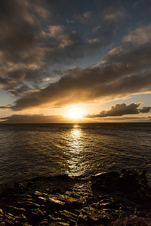 Maui Christmas 2017-1379