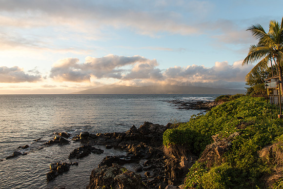 Maui Christmas 2017-1384