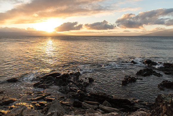 Maui Christmas 2017-1388