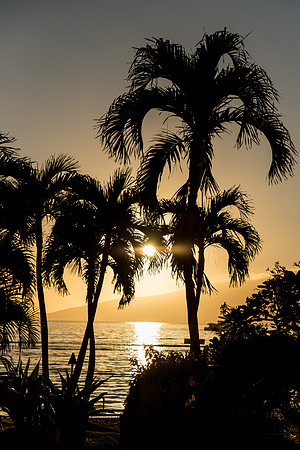 Maui Christmas 2017-1423