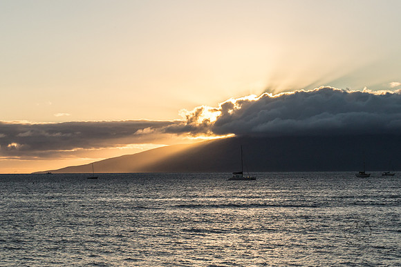 Maui Christmas 2017-1499