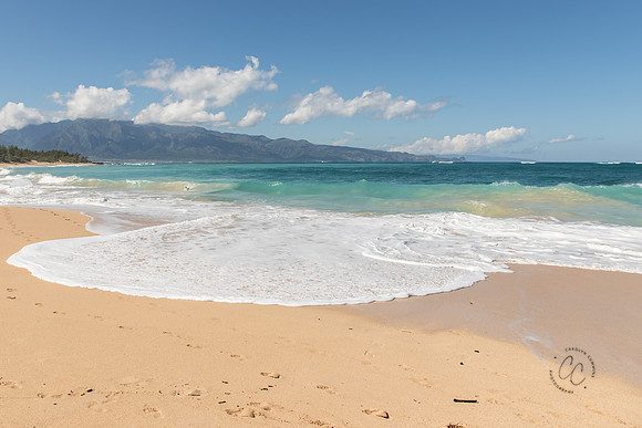 Maui Christmas 2017-1692