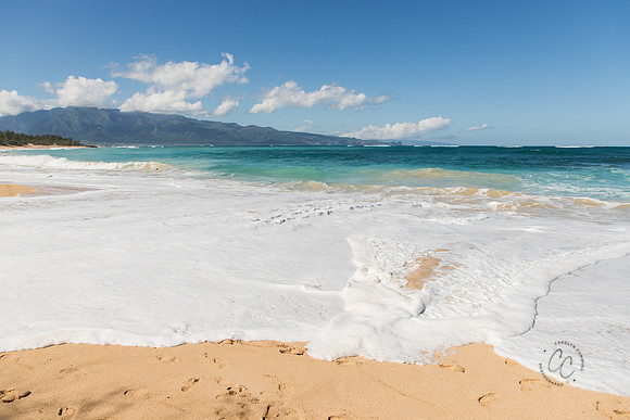 Maui Christmas 2017-1695