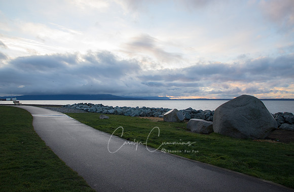 Boulevard Park January 2018-3919