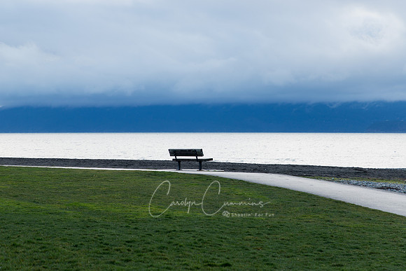 Boulevard Park January 2018-3921