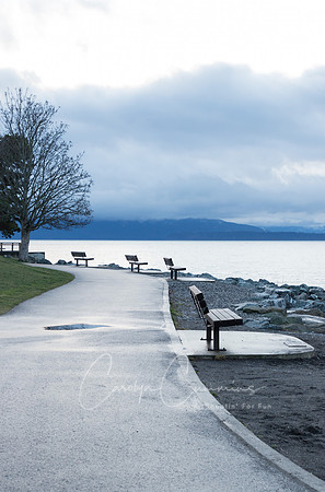 Boulevard Park January 2018-3939