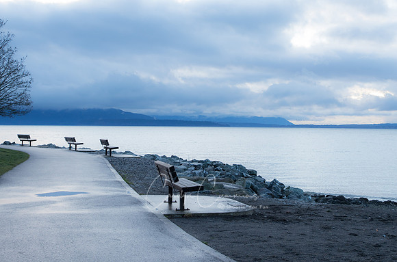 Boulevard Park January 2018-3942