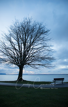 Boulevard Park January 2018-3959