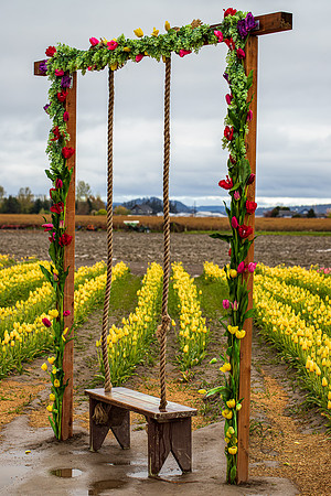 Tulip Town April 2022-9638