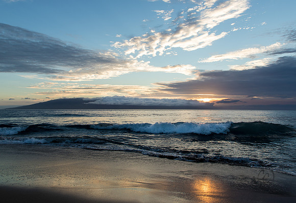 Maui March 2018-5564