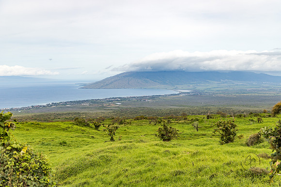 Maui March 2018-4897