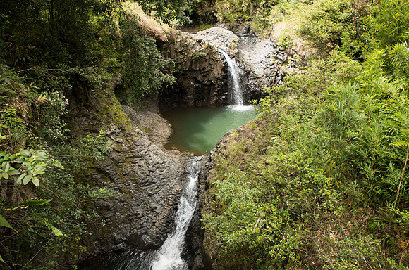 Maui March 2018-4966