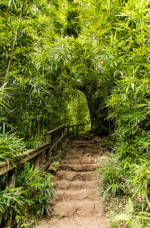 Maui March 2018-4974