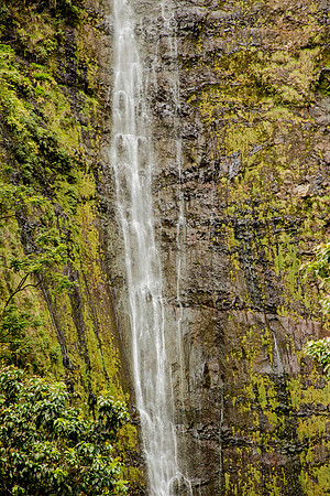 Maui March 2018-5038