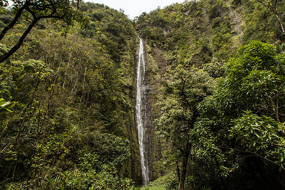 Maui March 2018-5040