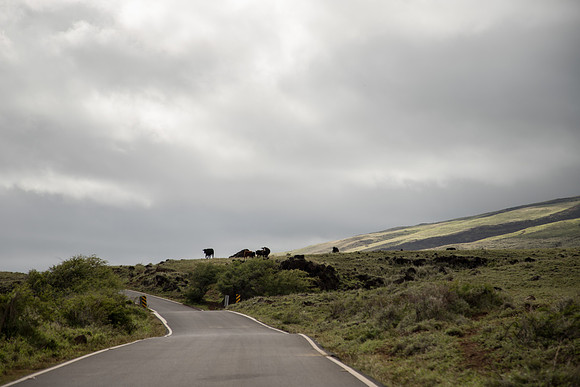 Maui March 2018-5051