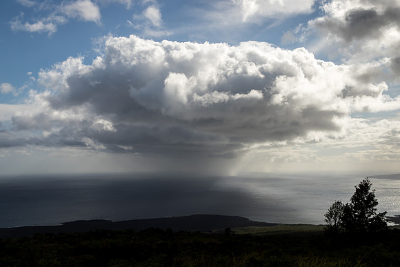 Maui March 2018-5080