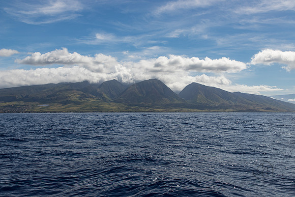 Maui March 2018-5197