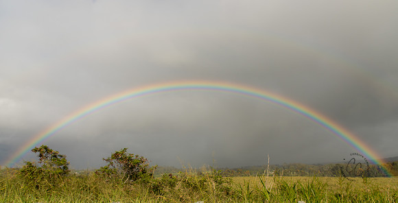 Maui March 2018-5094