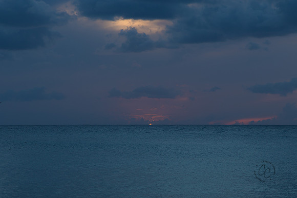 Maui March 2018-5281