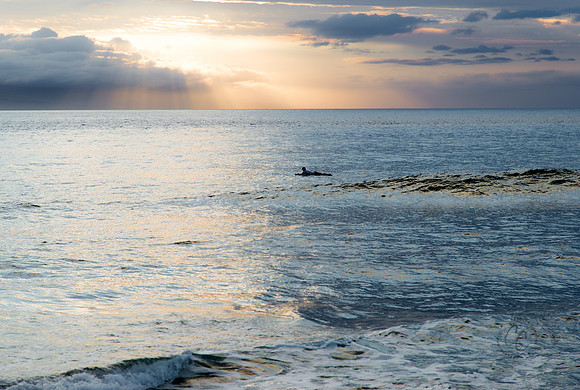 Maui March 2018-5512