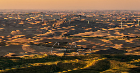 Palouse Valley from Steptoe Butte July 2021-1623
