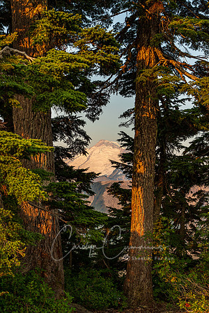 Mt. Baker from Artist Point Aug-5347