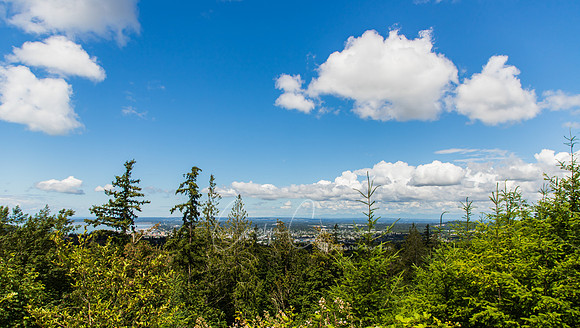 Ridge Trail Bellingham- July 2018-9001