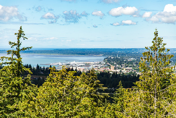 Ridge Trail Bellingham- July 2018-8985