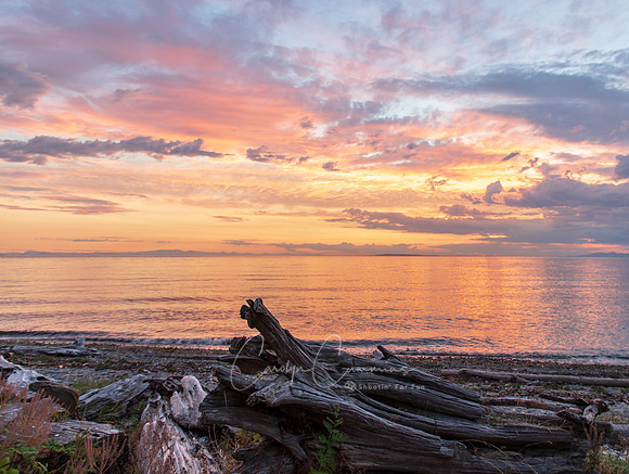 Birch Bay Sunset July 2018-9680