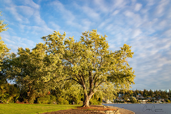 Lake Whatcom Sept 2018-1324