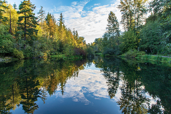 Derby Pond Sept 2018-1358