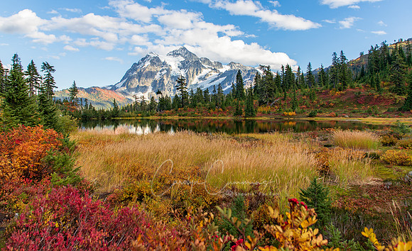 Mt Shuksan and Picture Lake Sept 2018-1479