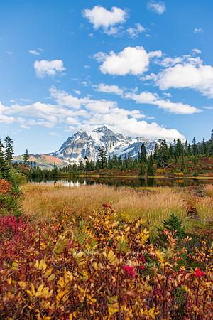 Mt Shuksan and Picture Lake Sept 2018-1480
