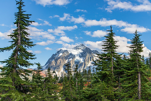Mt Shuksan and Picture Lake Sept 2018-1491