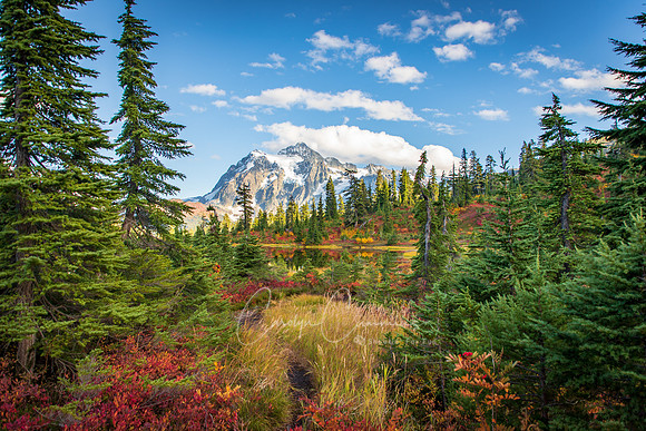 Mt Shuksan and Picture Lake Sept 2018-1504