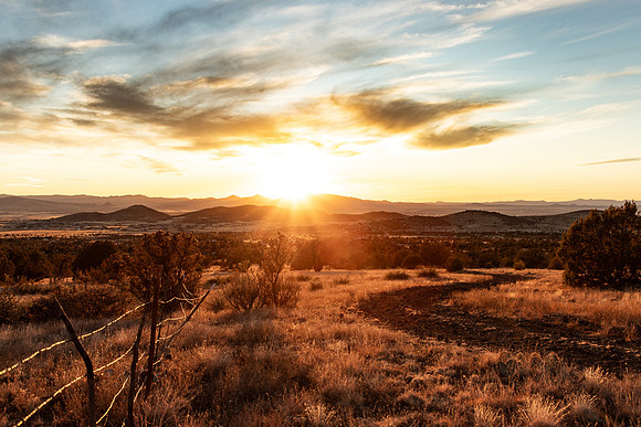 Prescott Valley Feb 2025-6648