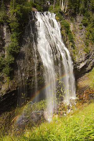 Narada Falls