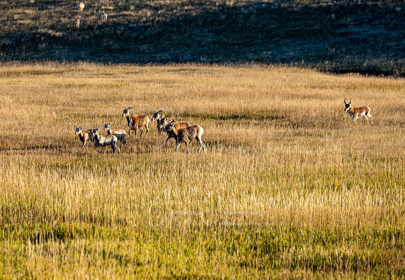South Dakota-3398