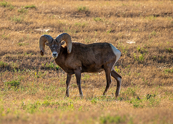 South Dakota-3414
