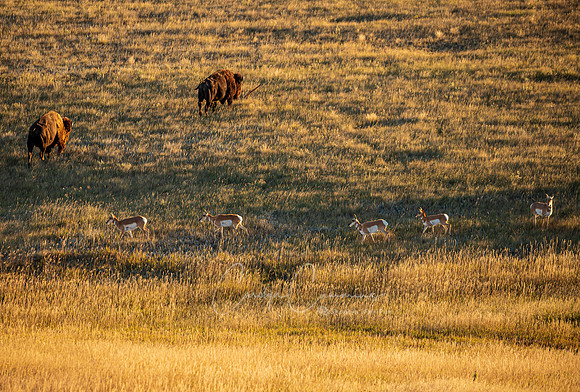 South Dakota-3391