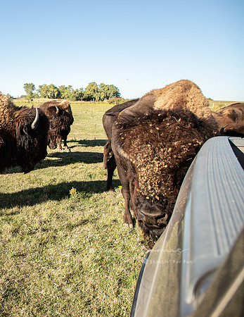 South Dakota-3456