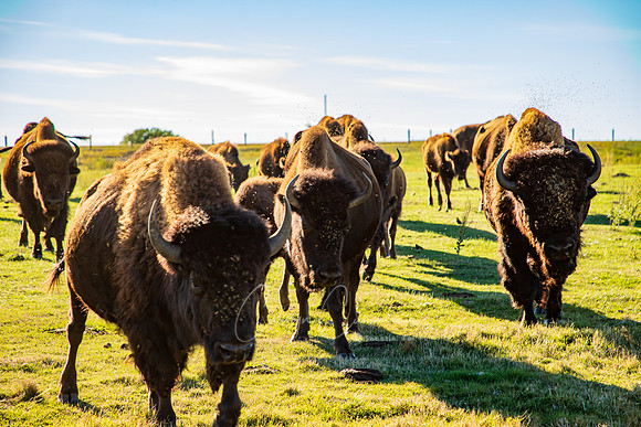 South Dakota-3454