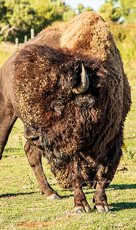 South Dakota-3466