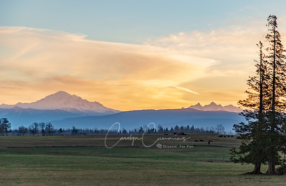 Sunrise from Lake Terrell Rd Dec 2018-4055