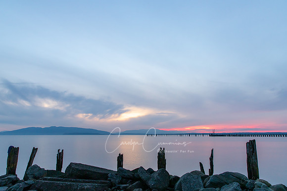Squalicum Beach Point (BCS) Jan 2019-5161