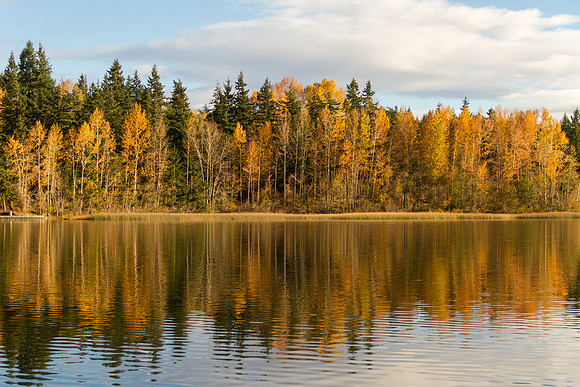 Lake Padden Oct 2016-6244