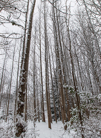 Winter 2019-5951