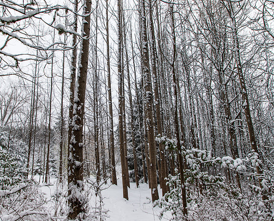 Winter 2019-5949